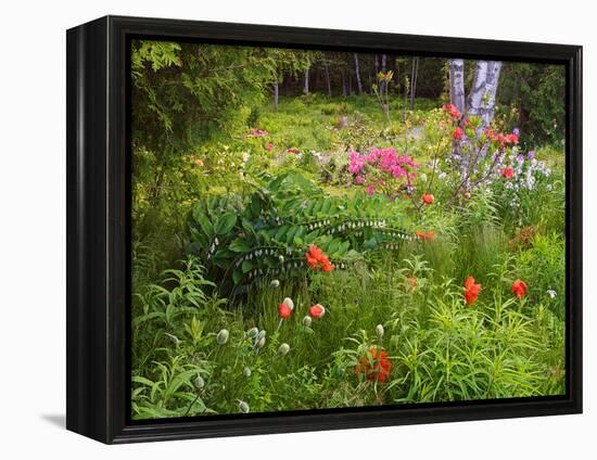 Garden and Forest in New Brunswick, Canada-Ellen Anon-Framed Premier Image Canvas