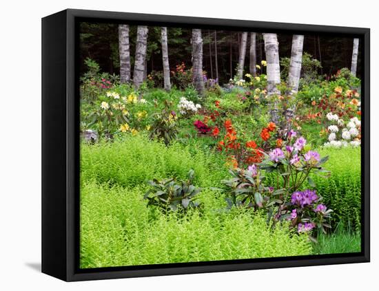 Garden and Forest in New Brunswick, Canada-Ellen Anon-Framed Premier Image Canvas