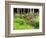 Garden and Forest in New Brunswick, Canada-Ellen Anon-Framed Photographic Print