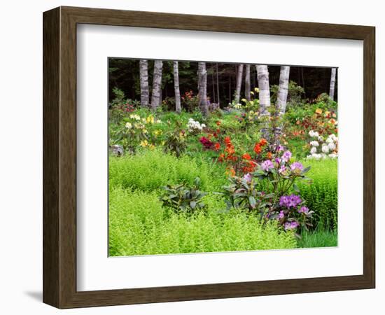 Garden and Forest in New Brunswick, Canada-Ellen Anon-Framed Photographic Print