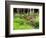 Garden and Forest in New Brunswick, Canada-Ellen Anon-Framed Photographic Print