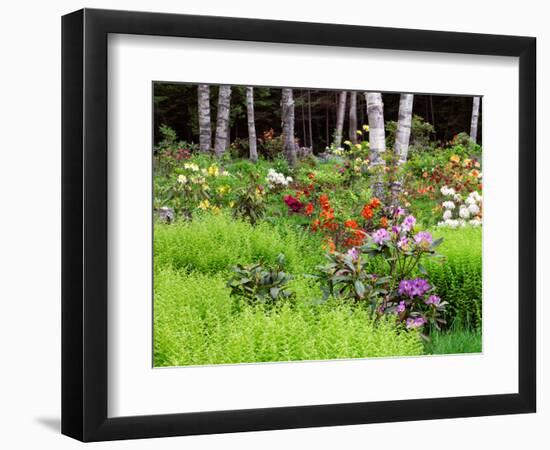 Garden and Forest in New Brunswick, Canada-Ellen Anon-Framed Photographic Print