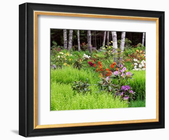 Garden and Forest in New Brunswick, Canada-Ellen Anon-Framed Photographic Print