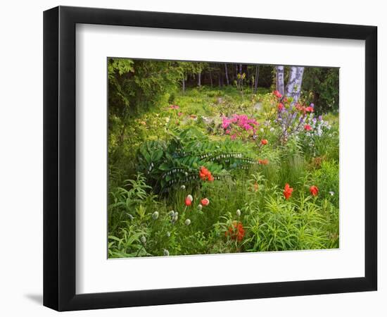 Garden and Forest in New Brunswick, Canada-Ellen Anon-Framed Photographic Print