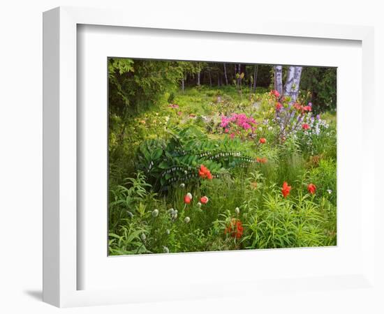 Garden and Forest in New Brunswick, Canada-Ellen Anon-Framed Photographic Print