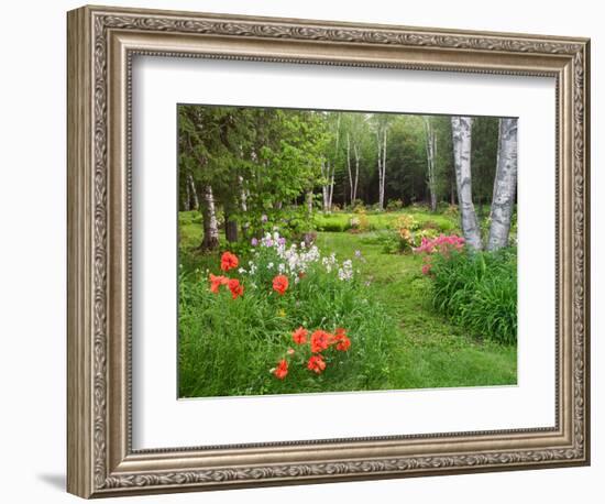 Garden and Forest in New Brunswick, Canada-Ellen Anon-Framed Photographic Print