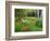 Garden and Forest in New Brunswick, Canada-Ellen Anon-Framed Photographic Print