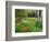 Garden and Forest in New Brunswick, Canada-Ellen Anon-Framed Photographic Print