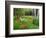 Garden and Forest in New Brunswick, Canada-Ellen Anon-Framed Photographic Print