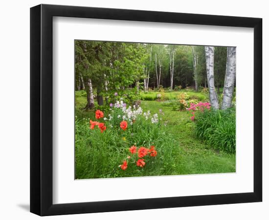 Garden and Forest in New Brunswick, Canada-Ellen Anon-Framed Photographic Print