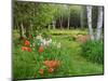 Garden and Forest in New Brunswick, Canada-Ellen Anon-Mounted Photographic Print