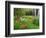 Garden and Forest in New Brunswick, Canada-Ellen Anon-Framed Photographic Print