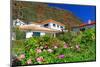 Garden and Holiday Homes in Jardim do Mar, Madeira Island, Portugal-null-Mounted Art Print