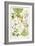 Garden Angelica and Other Plants-Elizabeth Rice-Framed Giclee Print