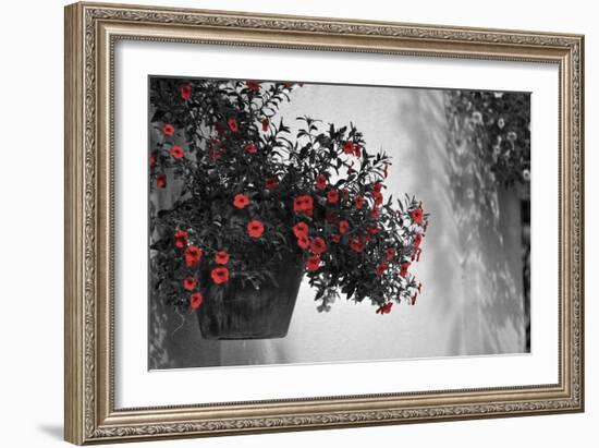 Garden Areas I-Gail Peck-Framed Photographic Print