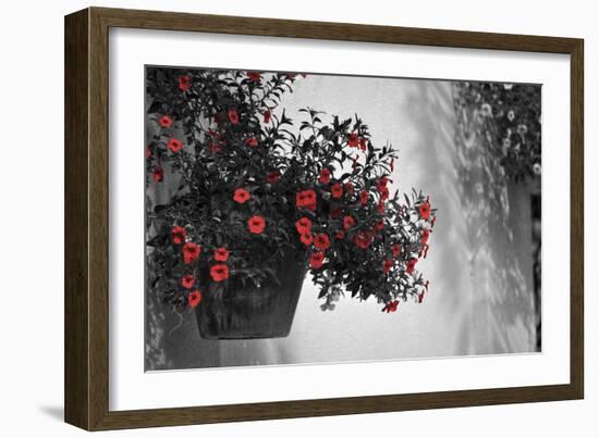 Garden Areas I-Gail Peck-Framed Photographic Print