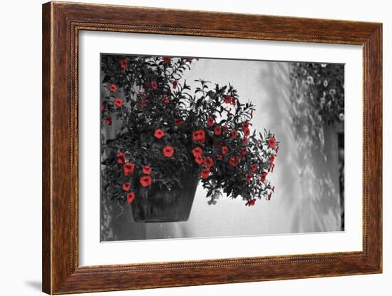 Garden Areas I-Gail Peck-Framed Photographic Print