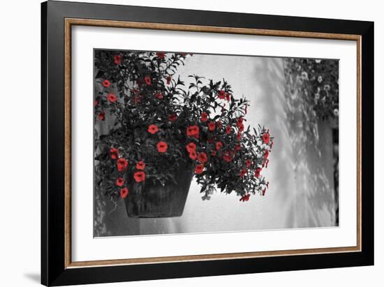 Garden Areas I-Gail Peck-Framed Photographic Print