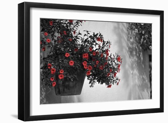 Garden Areas I-Gail Peck-Framed Photographic Print