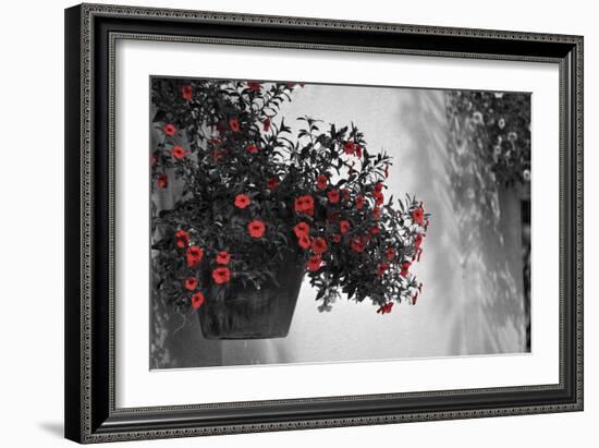 Garden Areas I-Gail Peck-Framed Photographic Print