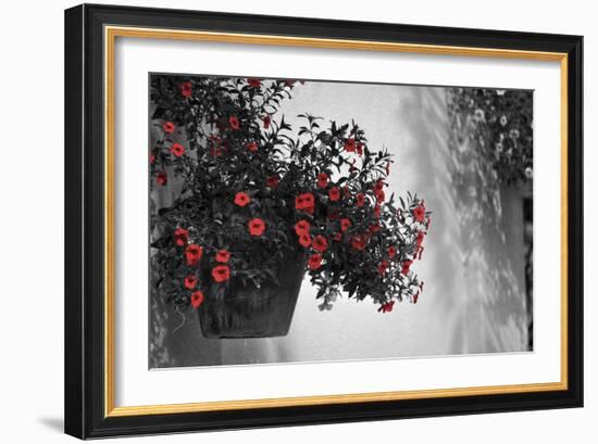 Garden Areas I-Gail Peck-Framed Photographic Print