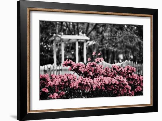 Garden Areas II-Gail Peck-Framed Photographic Print