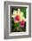 Garden Array I-Laura DeNardo-Framed Photographic Print