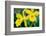 Garden Array III-Laura DeNardo-Framed Photographic Print