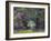 Garden at Curanilahue, Chile, 1998-Karen Armitage-Framed Giclee Print