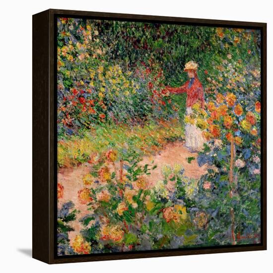 Garden at Giverny, 1895-Claude Monet-Framed Premier Image Canvas