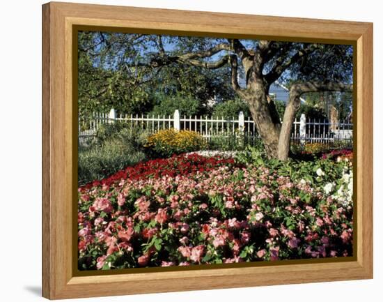 Garden at Prescott Park, New Hampshire, USA-Jerry & Marcy Monkman-Framed Premier Image Canvas