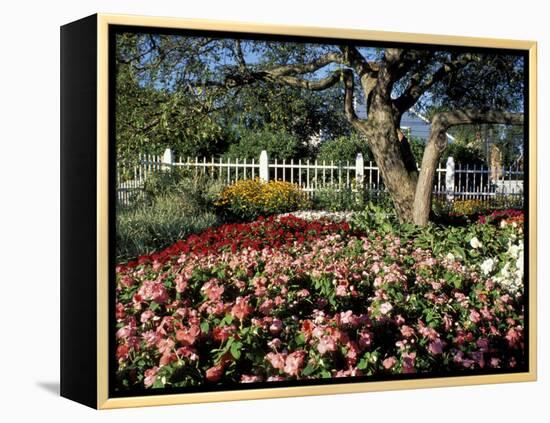 Garden at Prescott Park, New Hampshire, USA-Jerry & Marcy Monkman-Framed Premier Image Canvas