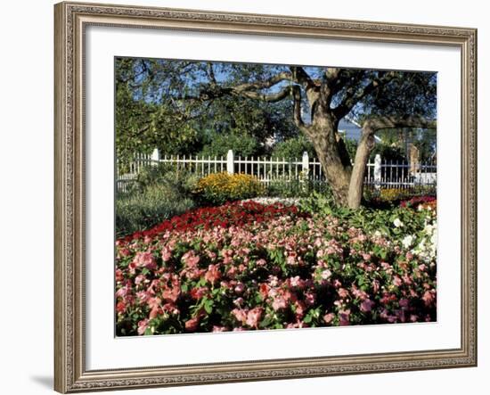 Garden at Prescott Park, New Hampshire, USA-Jerry & Marcy Monkman-Framed Photographic Print