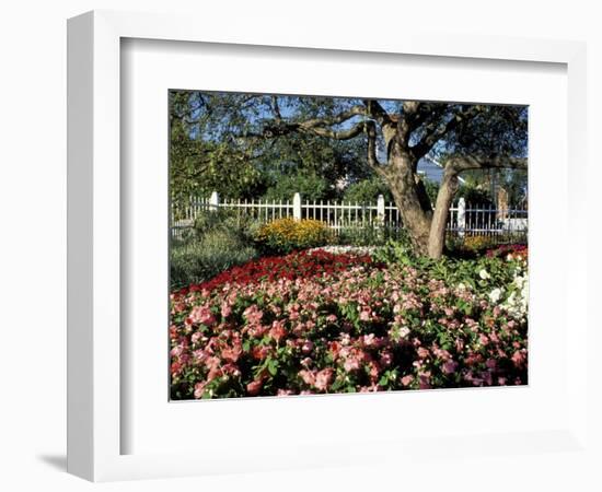 Garden at Prescott Park, New Hampshire, USA-Jerry & Marcy Monkman-Framed Photographic Print