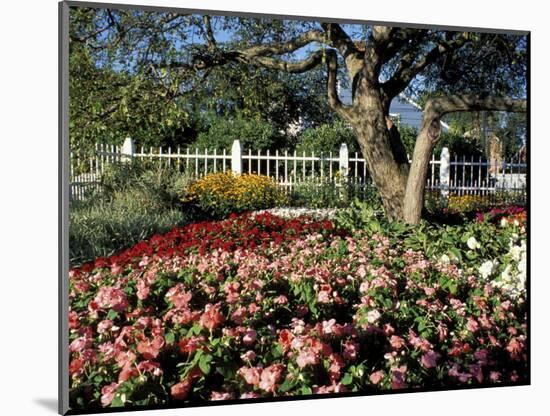 Garden at Prescott Park, New Hampshire, USA-Jerry & Marcy Monkman-Mounted Photographic Print