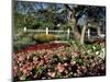 Garden at Prescott Park, New Hampshire, USA-Jerry & Marcy Monkman-Mounted Photographic Print