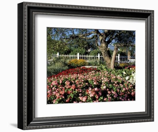 Garden at Prescott Park, New Hampshire, USA-Jerry & Marcy Monkman-Framed Photographic Print