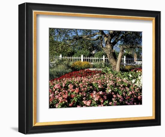 Garden at Prescott Park, New Hampshire, USA-Jerry & Marcy Monkman-Framed Photographic Print