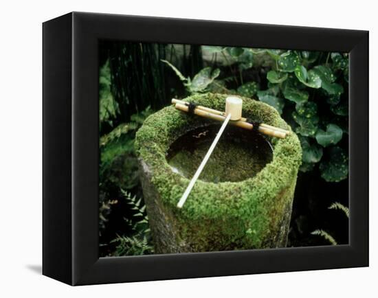 Garden Basin Covered with Moss, Japan-null-Framed Premier Image Canvas
