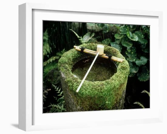 Garden Basin Covered with Moss, Japan-null-Framed Photographic Print