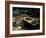 Garden Basin, Old Ryokan (Inn), Kyoto, Japan-null-Framed Photographic Print