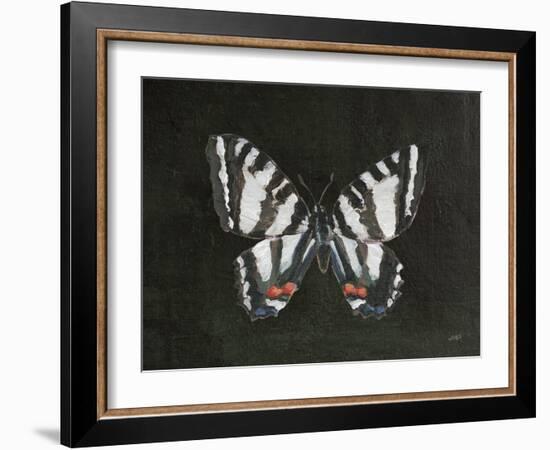 Garden Beauties II Black-Julia Purinton-Framed Art Print