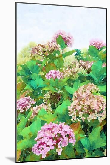 Garden Beauties II-Emily Navas-Mounted Art Print