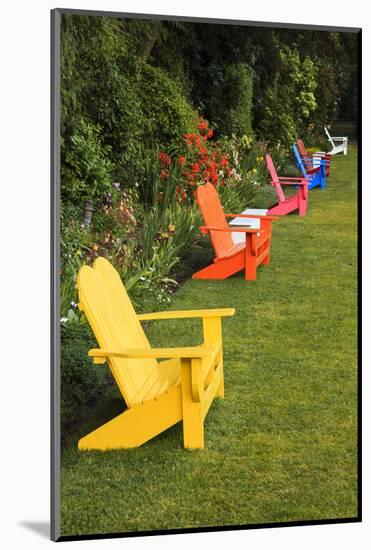 Garden Bench, Schreiner's Iris Gardens, Keizer, Oregon, USA-Rick A. Brown-Mounted Photographic Print