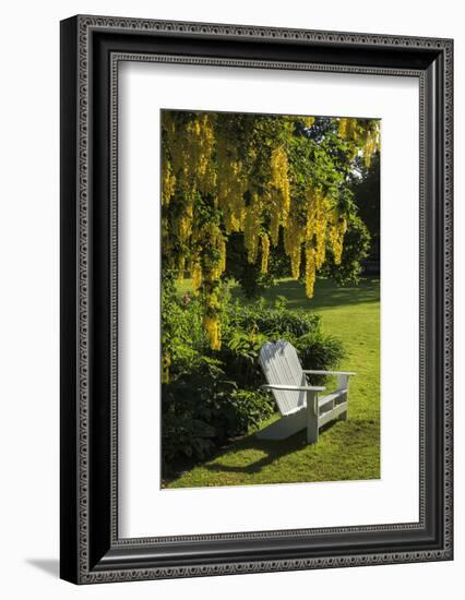 Garden Bench, Schreiner's Iris Gardens, Keizer, Oregon, USA-Rick A. Brown-Framed Photographic Print