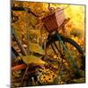 Garden Bike-Bruce Nawrocke-Mounted Photographic Print