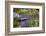 Garden Bliss-Nancy Crowell-Framed Photographic Print