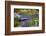 Garden Bliss-Nancy Crowell-Framed Photographic Print