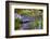 Garden Bliss-Nancy Crowell-Framed Photographic Print