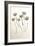 Garden Bloom #18-Alan Blaustein-Framed Photographic Print